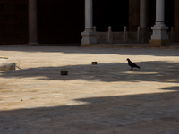 The Mosque of Amir Altinbugha al-Maridani, dating from 1340 CE, is a mosque from the era of the Mamluk Sultanate of Cairo, Egypt. Located so...