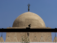 The Mosque of Amir Altinbugha al-Maridani, dating from 1340 CE, is a mosque from the era of the Mamluk Sultanate of Cairo, Egypt. Located so...