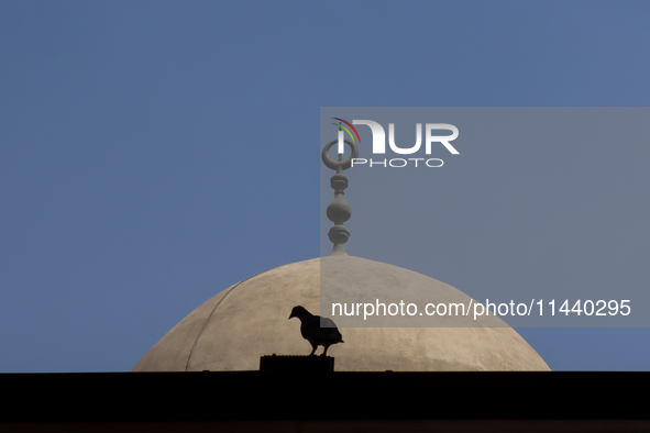 The Mosque of Amir Altinbugha al-Maridani, dating from 1340 CE, is a mosque from the era of the Mamluk Sultanate of Cairo, Egypt. Located so...