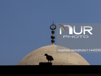 The Mosque of Amir Altinbugha al-Maridani, dating from 1340 CE, is a mosque from the era of the Mamluk Sultanate of Cairo, Egypt. Located so...