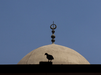 The Mosque of Amir Altinbugha al-Maridani, dating from 1340 CE, is a mosque from the era of the Mamluk Sultanate of Cairo, Egypt. Located so...