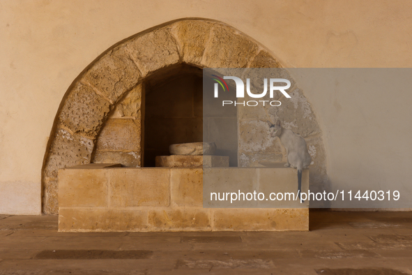 The Mosque of Amir Altinbugha al-Maridani, dating from 1340 CE, is a mosque from the era of the Mamluk Sultanate of Cairo, Egypt. Located so...