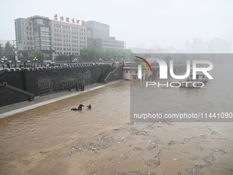 Bronze sculptures of horses and warriors are being seen submerged by floods at the Toudao wharf in Jilin City, Jilin province, China, on Jul...