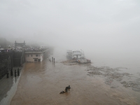 Bronze sculptures of horses and warriors are being seen submerged by floods at the Toudao wharf in Jilin City, Jilin province, China, on Jul...