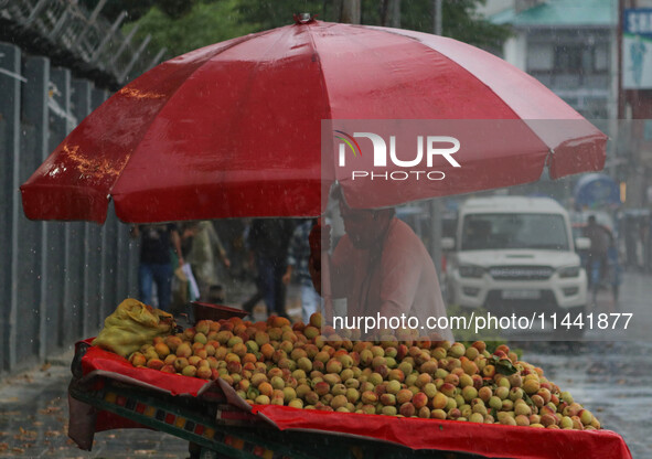 A roadside vendor is selling peaches as it is raining in Srinagar, Jammu and Kashmir, on July 29, 2024. 