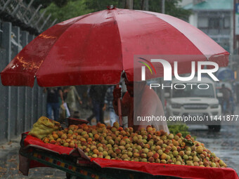 A roadside vendor is selling peaches as it is raining in Srinagar, Jammu and Kashmir, on July 29, 2024. (