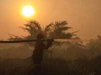 Indonesian firefighters are trying to extinguish a peatland fire in the palm oil plantation area of Company Permata Hijau Indonesia in Pangk...