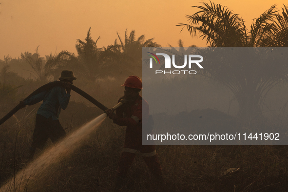 Indonesian firefighters are trying to extinguish a peatland fire in the palm oil plantation area of Company Permata Hijau Indonesia in Pangk...