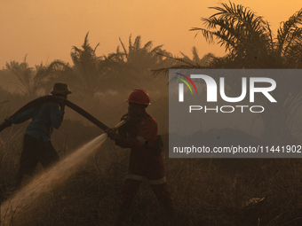 Indonesian firefighters are trying to extinguish a peatland fire in the palm oil plantation area of Company Permata Hijau Indonesia in Pangk...