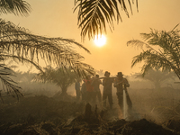 Indonesian police officers are trying to extinguish a peatland fire in the palm oil plantation area of Company Permata Hijau Indonesia in Pa...