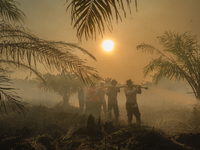 Indonesian police officers are trying to extinguish a peatland fire in the palm oil plantation area of Company Permata Hijau Indonesia in Pa...