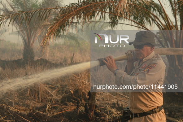 Indonesian police officers are trying to extinguish a peatland fire in the palm oil plantation area of Company Permata Hijau Indonesia in Pa...