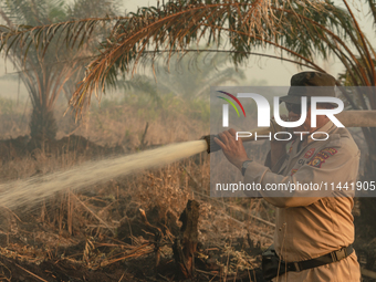 Indonesian police officers are trying to extinguish a peatland fire in the palm oil plantation area of Company Permata Hijau Indonesia in Pa...