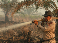 Indonesian police officers are trying to extinguish a peatland fire in the palm oil plantation area of Company Permata Hijau Indonesia in Pa...