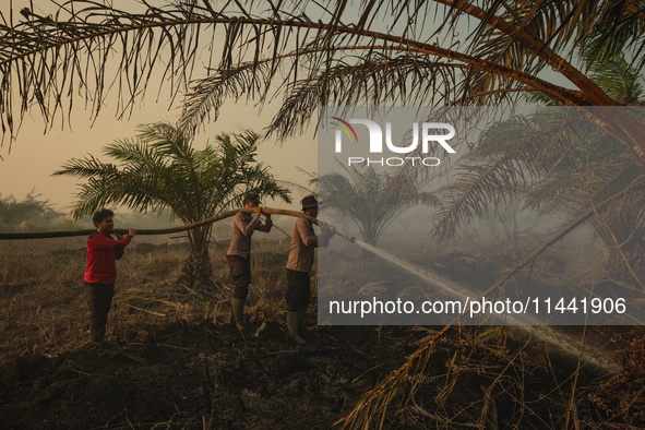 Indonesian police officers are trying to extinguish a peatland fire in the palm oil plantation area of Company Permata Hijau Indonesia in Pa...