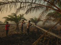 Indonesian police officers are trying to extinguish a peatland fire in the palm oil plantation area of Company Permata Hijau Indonesia in Pa...