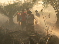 Indonesian police officers are trying to extinguish a peatland fire in the palm oil plantation area of Company Permata Hijau Indonesia in Pa...