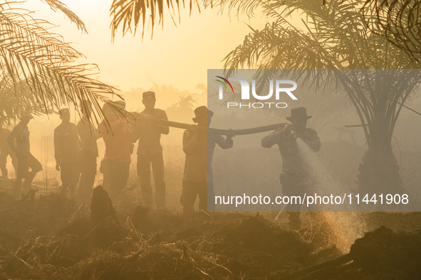 Indonesian police officers are trying to extinguish a peatland fire in the palm oil plantation area of Company Permata Hijau Indonesia in Pa...