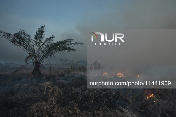 Indonesian police officers are trying to extinguish a peatland fire in the palm oil plantation area of Company Permata Hijau Indonesia in Pa...