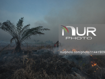 Indonesian police officers are trying to extinguish a peatland fire in the palm oil plantation area of Company Permata Hijau Indonesia in Pa...