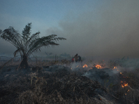 Indonesian police officers are trying to extinguish a peatland fire in the palm oil plantation area of Company Permata Hijau Indonesia in Pa...