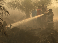 Indonesian police officers are trying to extinguish a peatland fire in the palm oil plantation area of Company Permata Hijau Indonesia in Pa...