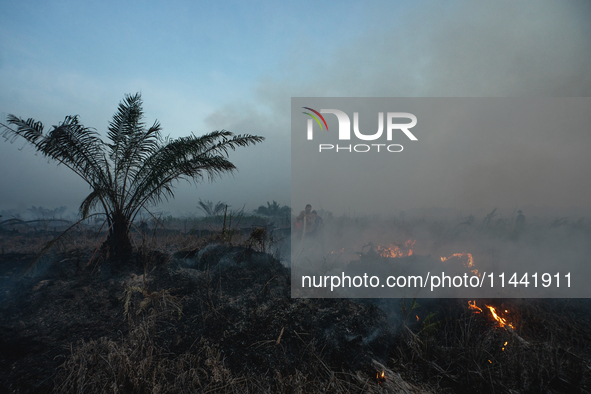 Indonesian police officers are trying to extinguish a peatland fire in the palm oil plantation area of Company Permata Hijau Indonesia in Pa...