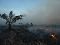 Indonesian police officers are trying to extinguish a peatland fire in the palm oil plantation area of Company Permata Hijau Indonesia in Pa...