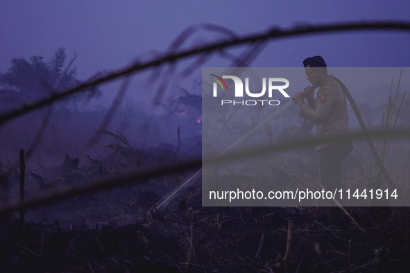 Indonesian police officers are trying to extinguish a peatland fire in the palm oil plantation area of Company Permata Hijau Indonesia in Pa...