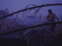 Indonesian police officers are trying to extinguish a peatland fire in the palm oil plantation area of Company Permata Hijau Indonesia in Pa...