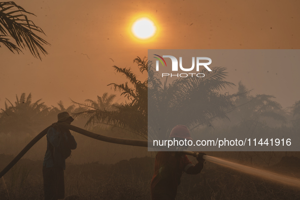 Indonesian firefighters are trying to extinguish a peatland fire in the palm oil plantation area of Company Permata Hijau Indonesia in Pangk...