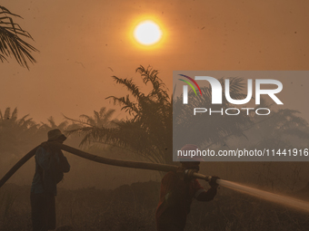 Indonesian firefighters are trying to extinguish a peatland fire in the palm oil plantation area of Company Permata Hijau Indonesia in Pangk...