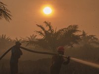 Indonesian firefighters are trying to extinguish a peatland fire in the palm oil plantation area of Company Permata Hijau Indonesia in Pangk...