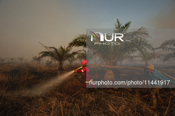 Indonesian firefighters are trying to extinguish a peatland fire in the palm oil plantation area of Company Permata Hijau Indonesia in Pangk...