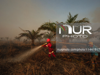 Indonesian firefighters are trying to extinguish a peatland fire in the palm oil plantation area of Company Permata Hijau Indonesia in Pangk...