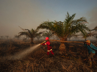 Indonesian firefighters are trying to extinguish a peatland fire in the palm oil plantation area of Company Permata Hijau Indonesia in Pangk...