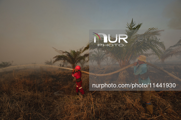 Indonesian firefighters are trying to extinguish a peatland fire in the palm oil plantation area of Company Permata Hijau Indonesia in Pangk...