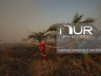 Indonesian firefighters are trying to extinguish a peatland fire in the palm oil plantation area of Company Permata Hijau Indonesia in Pangk...