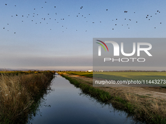 Smoke from the Park Fire is blanketing rice fields near Marysville, Calif., on Sunday, July 28, 2024. The rapid growth of California's Park...