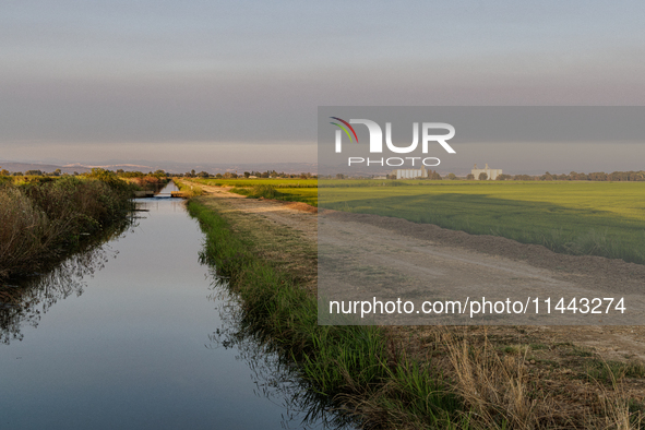 Smoke from the Park Fire is blanketing rice fields near Marysville, Calif., on Sunday, July 28, 2024. The rapid growth of California's Park...