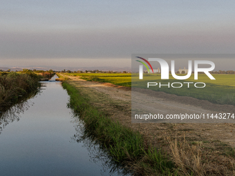 Smoke from the Park Fire is blanketing rice fields near Marysville, Calif., on Sunday, July 28, 2024. The rapid growth of California's Park...