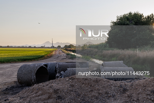 Smoke from the Park Fire is blanketing rice fields near Marysville, Calif., on Sunday, July 28, 2024. The rapid growth of California's Park...