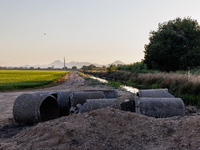 Smoke from the Park Fire is blanketing rice fields near Marysville, Calif., on Sunday, July 28, 2024. The rapid growth of California's Park...