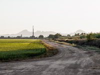 Smoke from the Park Fire is blanketing rice fields near Marysville, Calif., on Sunday, July 28, 2024. The rapid growth of California's Park...