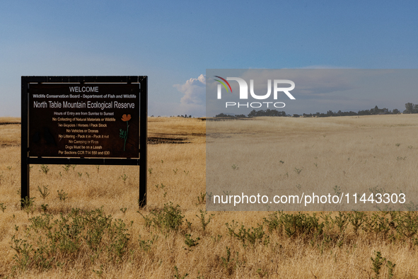 The Park Fire's forward movement is being seen from North Table Mountain Ecological Reserve, near Oroville, Calif., on Sunday, July 28, 2024...