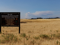 The Park Fire's forward movement is being seen from North Table Mountain Ecological Reserve, near Oroville, Calif., on Sunday, July 28, 2024...