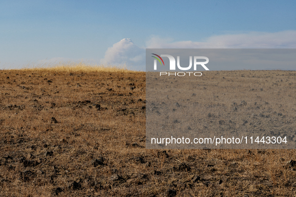 The Park Fire's forward movement is being seen from North Table Mountain Ecological Reserve, near Oroville, Calif., on Sunday, July 28, 2024...