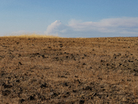 The Park Fire's forward movement is being seen from North Table Mountain Ecological Reserve, near Oroville, Calif., on Sunday, July 28, 2024...