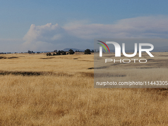 The Park Fire's forward movement is being seen from North Table Mountain Ecological Reserve, near Oroville, Calif., on Sunday, July 28, 2024...