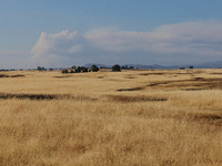 The Park Fire's forward movement is being seen from North Table Mountain Ecological Reserve, near Oroville, Calif., on Sunday, July 28, 2024...